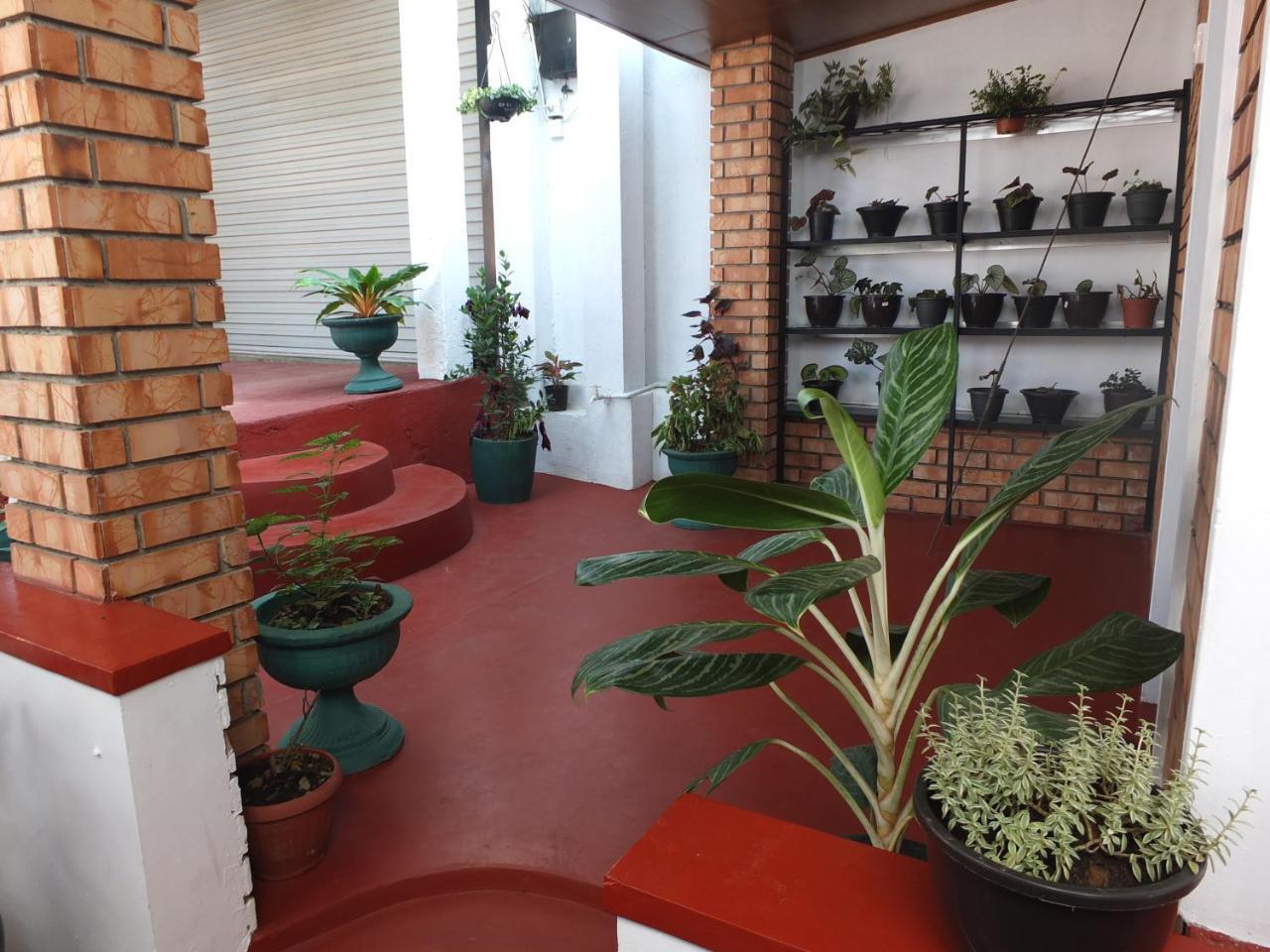 Rest For Guests - Homestay Deiyannewela Εξωτερικό φωτογραφία